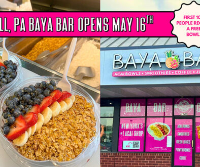 Blue Bell, PA Baya Bar opens May 16th